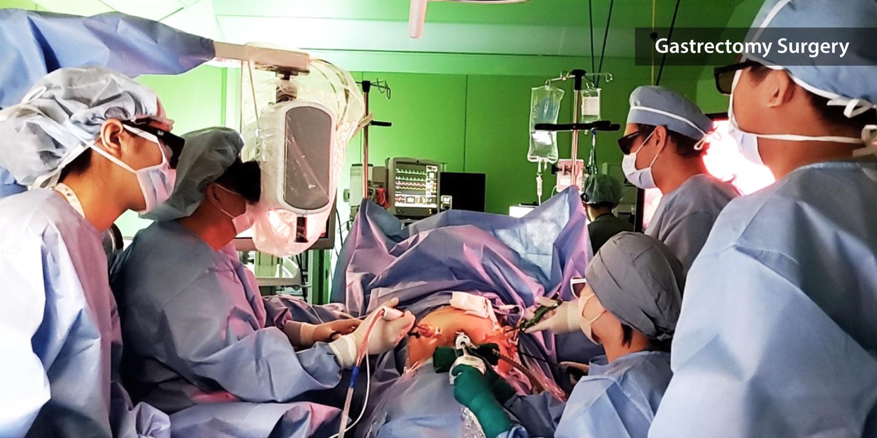 Gastrectomy — Sometech 3D digital surgery